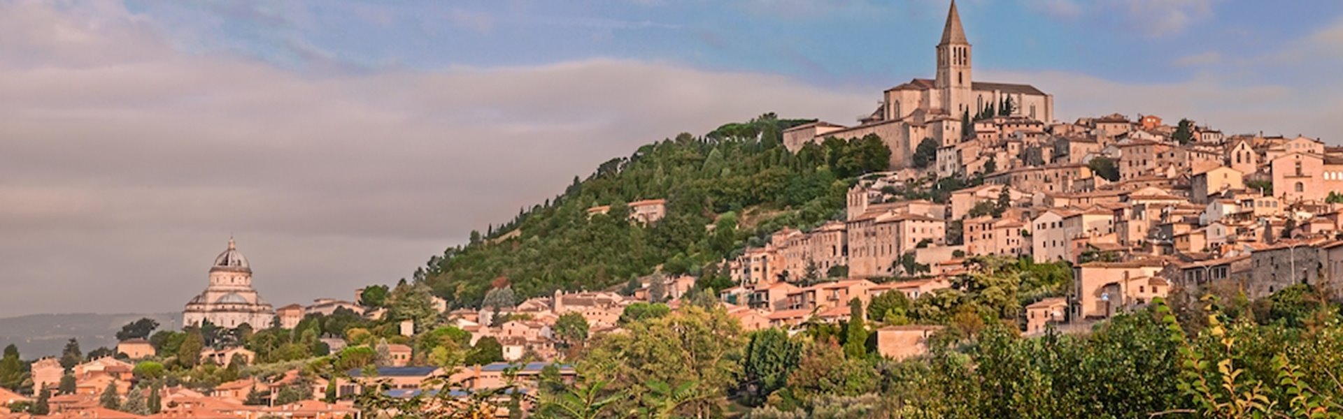 Todi