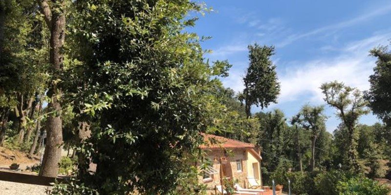 Villa suitable for 6 people in Tuscany with private swimming pool