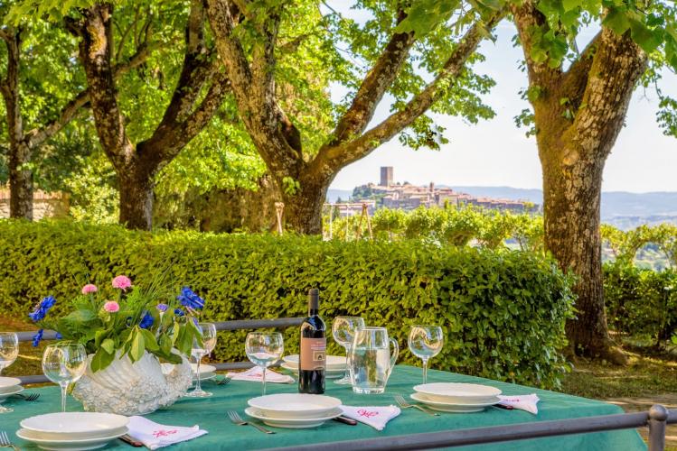 Villa in northern Tuscany for 20 people with private swimming pool