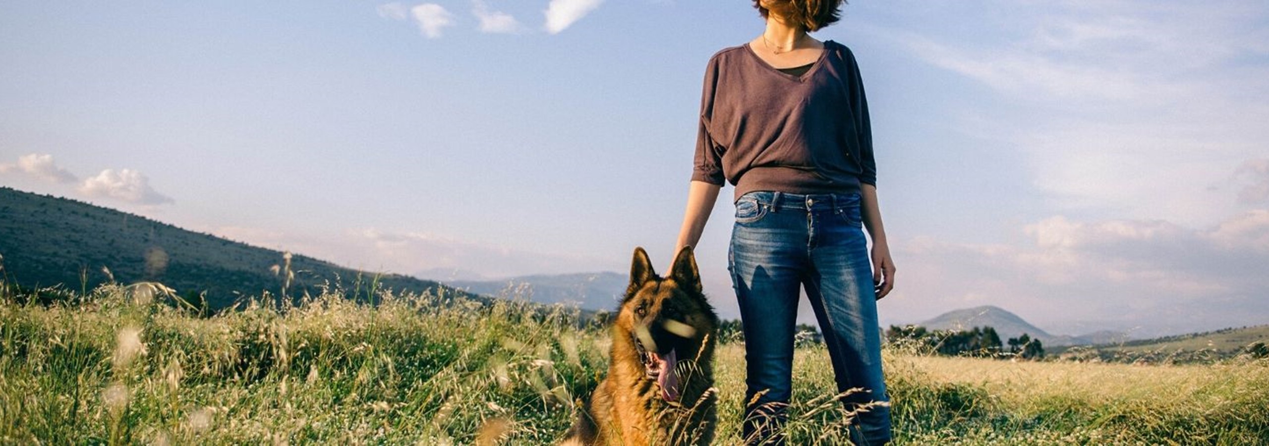 Pet Friendly Villas In Le Marche