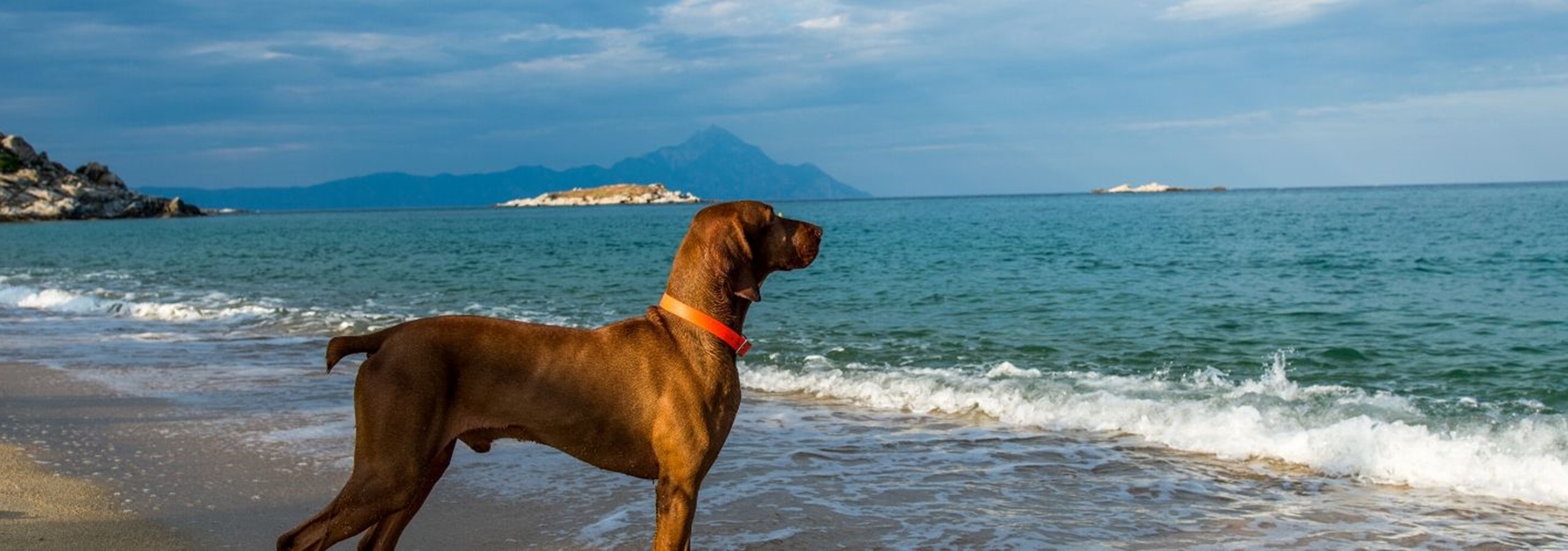 Pet Friendly Villas In Liguria
