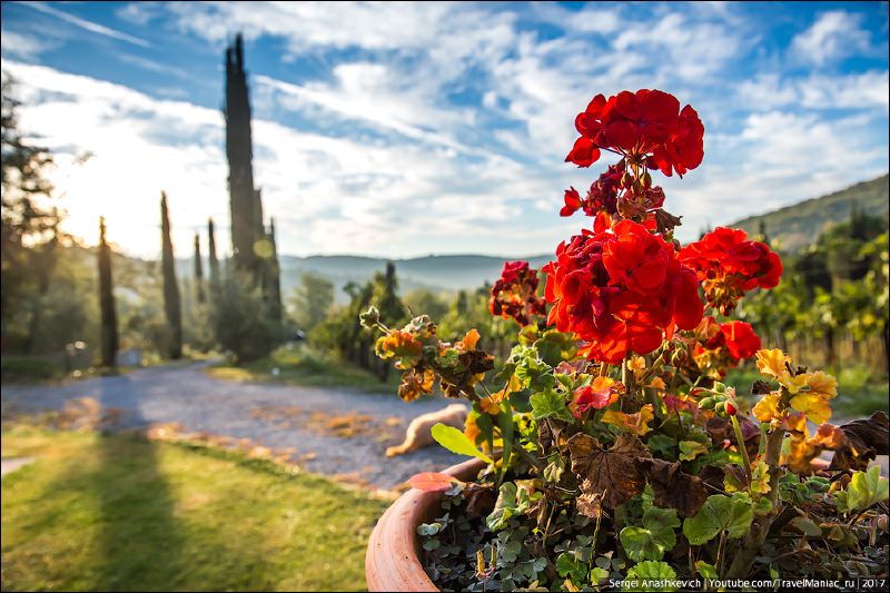 Romantic villa for 2 people in Tuscany with private swimming pool