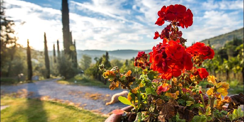 Romantic villa for 2 people in Tuscany with private swimming pool