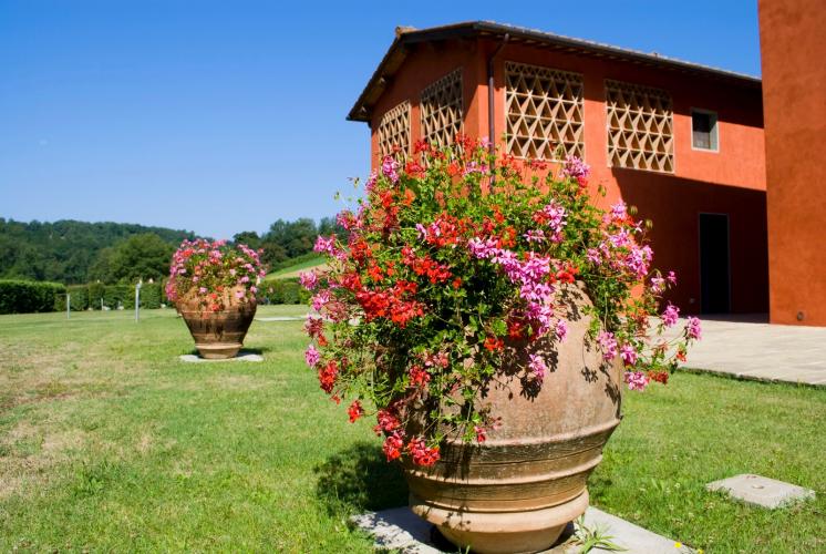 Large 7 bedroomed villa for 18 people with private pool in the Arno Valley of Tuscany