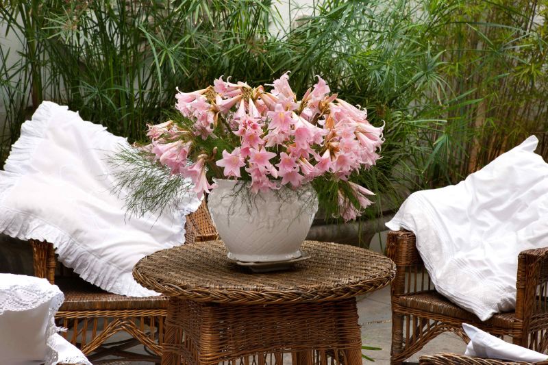 La Stella di Sorrento | Private Villa To With Swimming Pool & Garden To Rent In Sorrento, Italy 