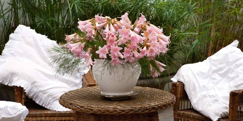 La Stella di Sorrento | Private Villa To With Swimming Pool & Garden To Rent In Sorrento, Italy