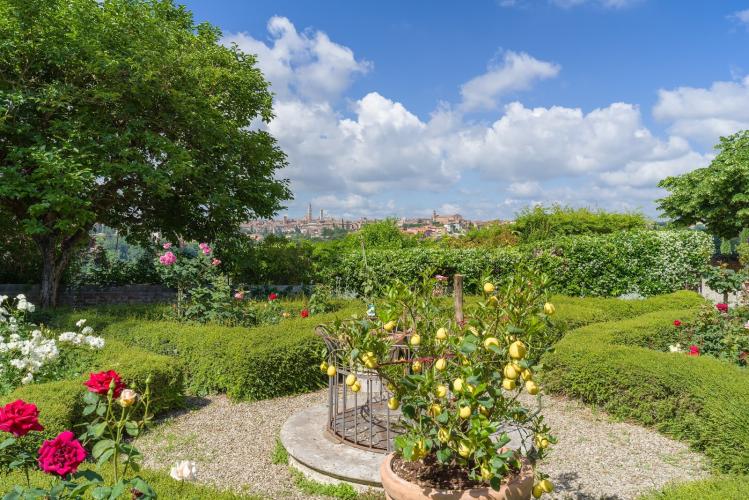 7 bedroomed villa for 12 people with private pool near Siena in Tuscany