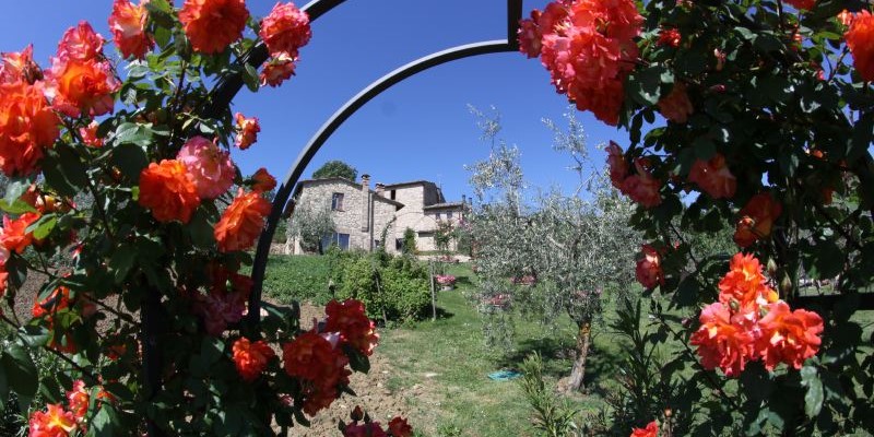 7 bedroomed villa with pool near Montepulciano