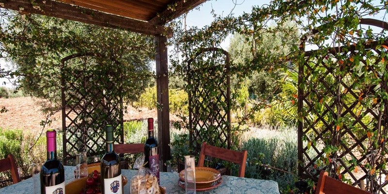 Ancient Trullo for 4 people near Alberobello with private pool