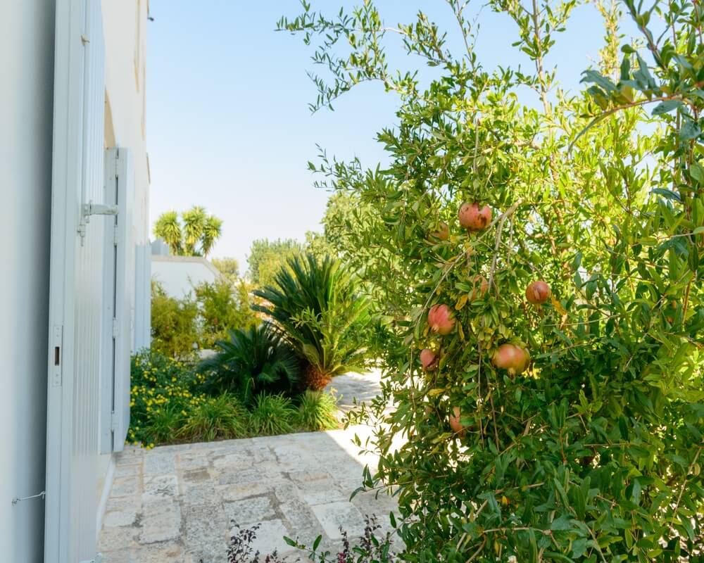 Luxury 1 bedroomed apartment for 3 people in Puglia Masseria