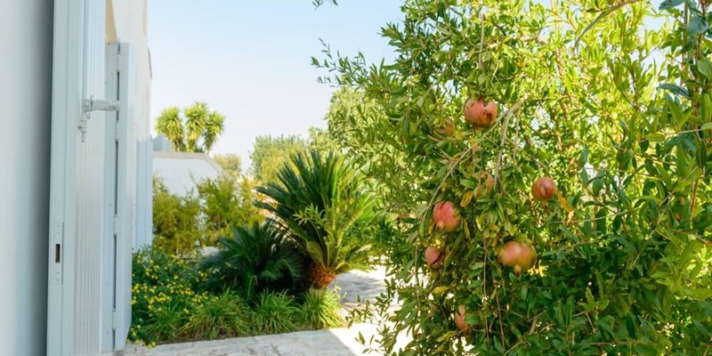 Luxury 1 bedroomed apartment for 3 people in Puglia Masseria