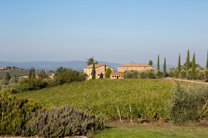 Low priced apartment for 6 people with swimming pool in the Chianti region of Tuscany view