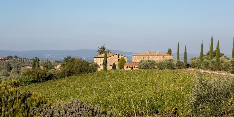Low priced apartment for 6 people with swimming pool in the Chianti region of Tuscany view