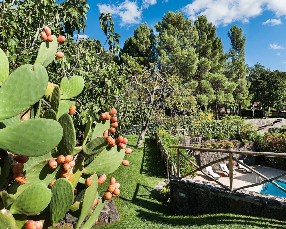 Beautiful little private villa with pool on slopes of Mount Etna