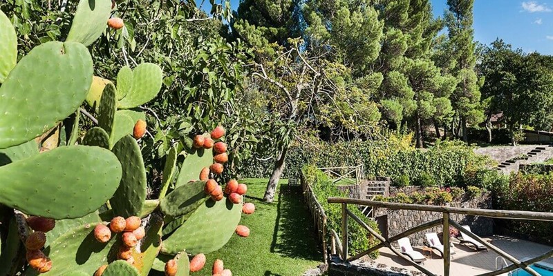 Beautiful little private villa with pool on slopes of Mount Etna