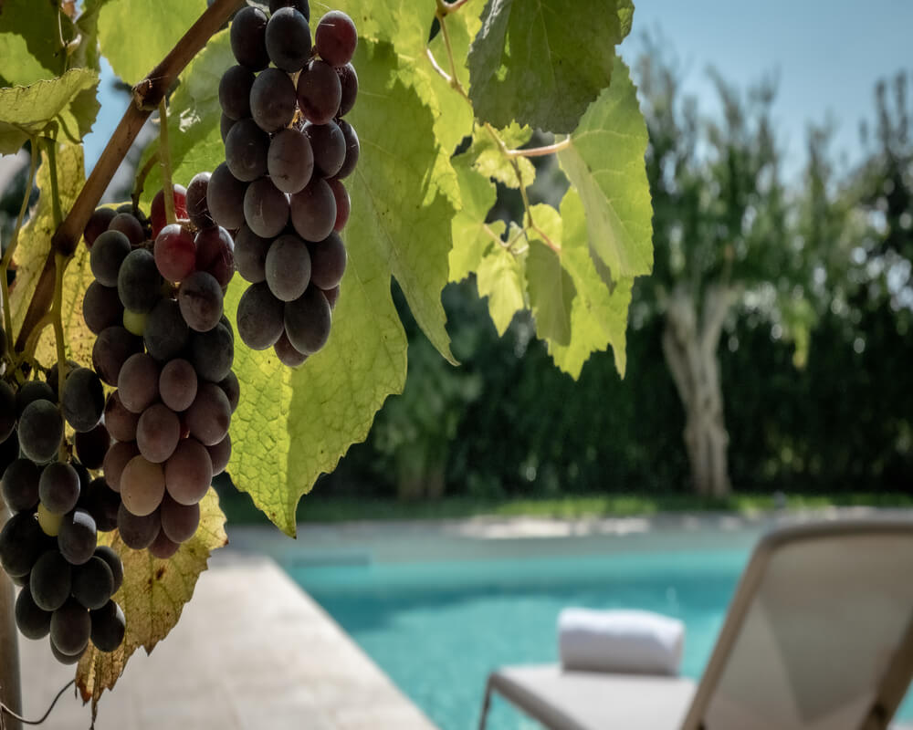 Luxury Villa For Large Groups With Private Pool In Puglia, Italy