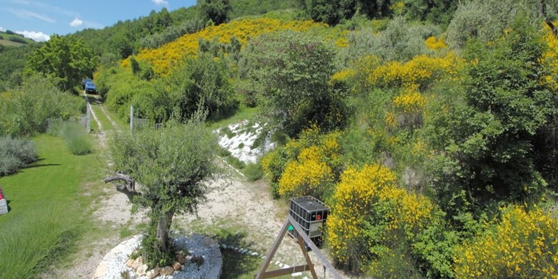 Hilltop Villa With Private Pool To Rent In Le Marche For 2023