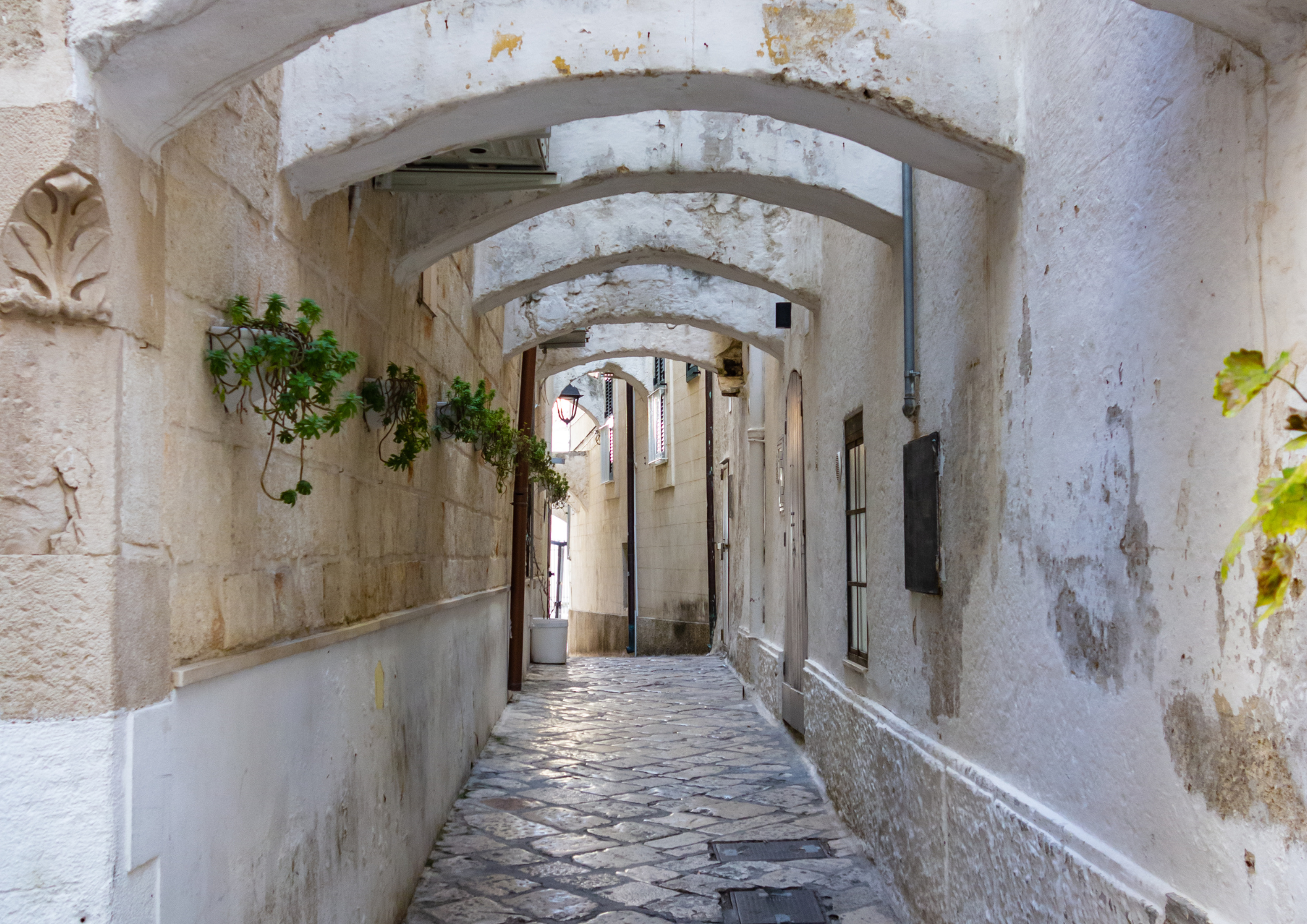 Monopoli (3)