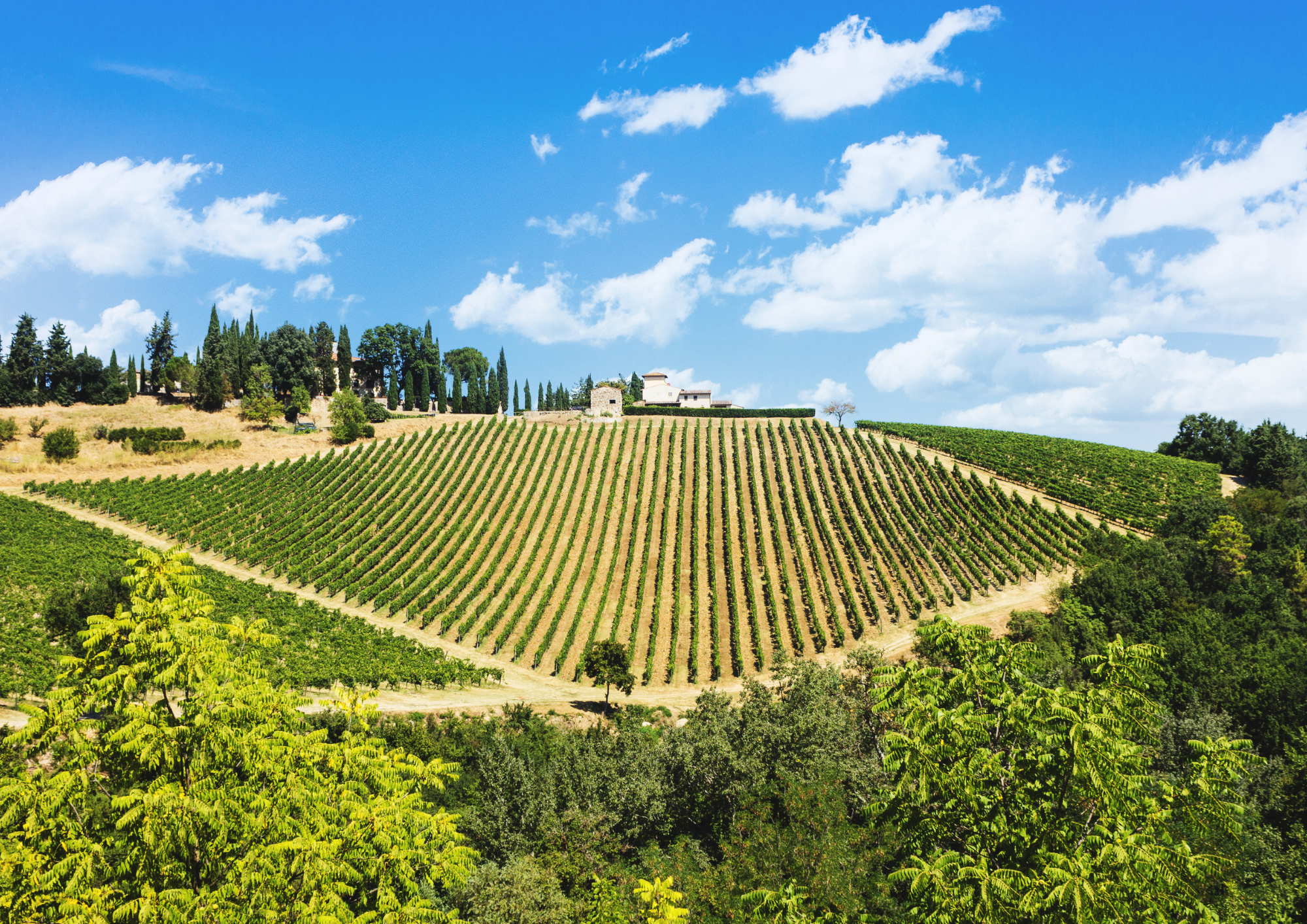 Why are people raving about Chianti in Tuscany?